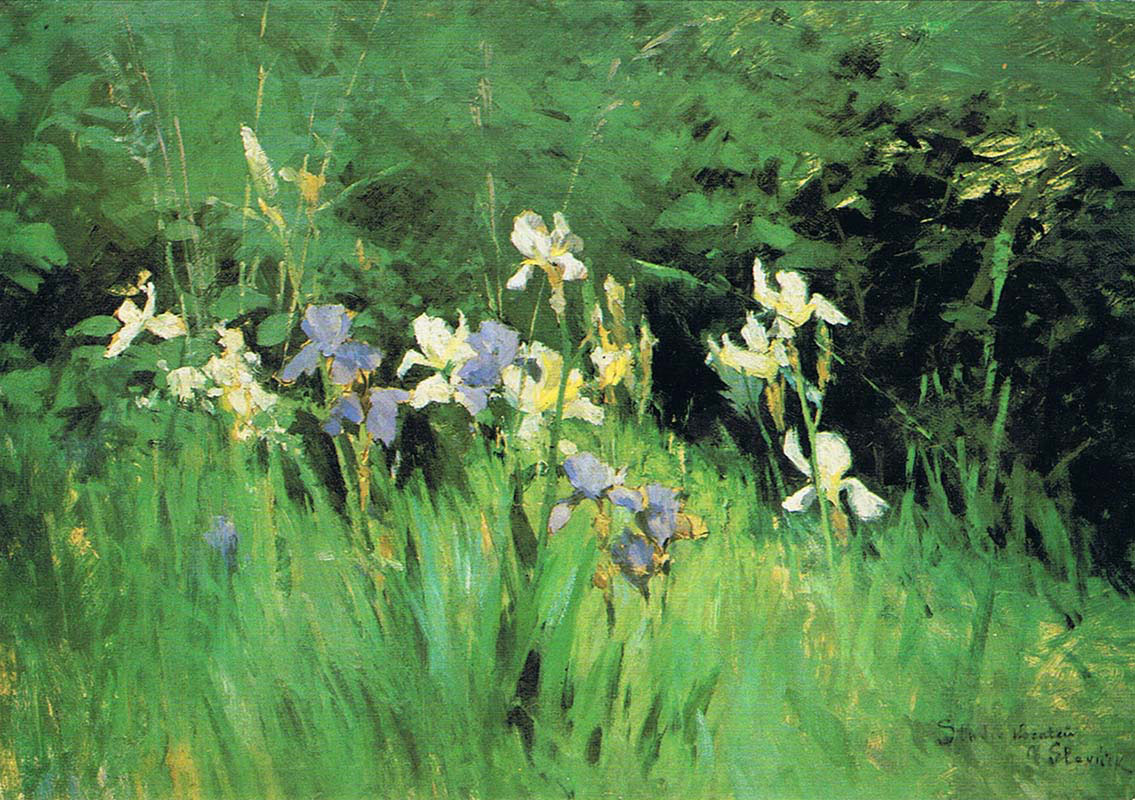 Irises